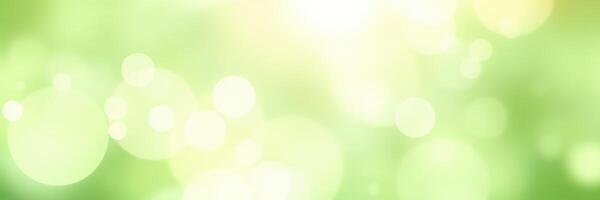 Green bokeh background created by soft light and natural elements in a tranquil outdoor setting photo