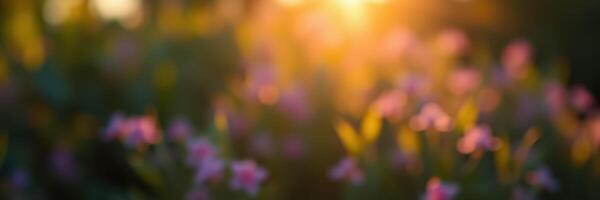 Soft sunlight illuminates blooming flowers in a tranquil garden during sunset hours photo