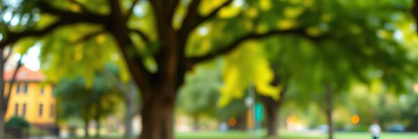 Vibrant green trees in a sunny park surrounded by charming architecture during the day photo