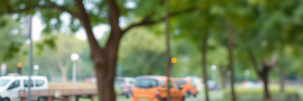 Vehicles parked under trees in a city park during a warm afternoon photo