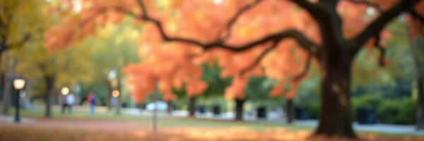 Beautiful autumn colors create a serene park atmosphere during a sunny afternoon walk photo
