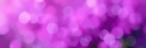 Colorful bokeh lights in shades of purple create a dreamy and vibrant atmosphere at an evening event photo