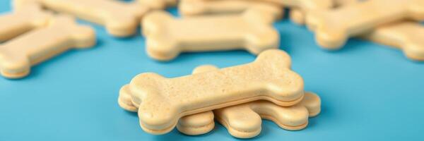 Dog treats shaped like bones scattered on a blue surface inviting playful pets and tail wagging moments photo