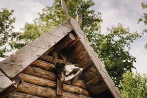 A close-up of a partially destroyed cattle skull that hangs over the entrance to an old triangular house photo
