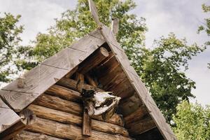 A close-up of a partially destroyed cattle skull that hangs over the entrance to an old triangular house photo