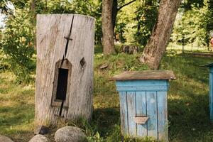 An old wooden alley stands in the forest. Bee houses are located on the green grass photo