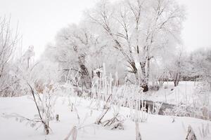 Snow-covered landscape of open spaces near the river. Snowy weather photo