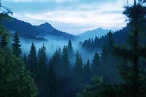 A mountain range with trees and fog photo