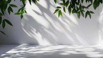 White wall with a tree in the background and a shadow on the wall. The shadow is large and dark, creating a sense of depth and dimension. The tree and shadow together create a peaceful photo