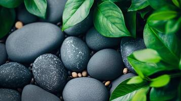 Collection of black rocks with green leaves in the background. The rocks are scattered around and some are piled up. The scene has a natural and calming feel to it photo