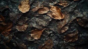 Close up of leaves on a rock. The leaves are brown and the rock is dark. The image has a moody and somber feel to it photo