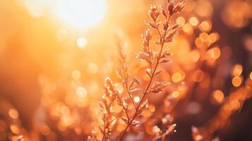 Blurry image of a leafy plant with a sun shining on it. The sun is casting a warm glow on the plant, making it look vibrant and alive. The blurry effect adds a sense of movement photo