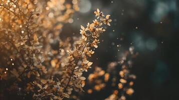Tree with leaves that are yellow and brown. The leaves are scattered in the air. The image has a peaceful and serene mood photo