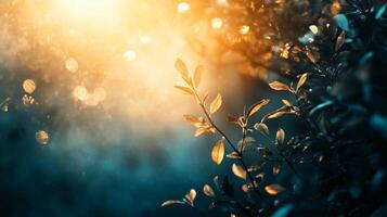 Leafy tree with a bright sun shining on it. The sun is casting a warm glow on the leaves, creating a serene and peaceful atmosphere photo