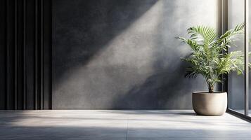 Large plant sits in a large pot on a concrete floor. The plant is in a room with a window, and the sunlight is shining on it. The room is empty, with no furniture or decorations photo