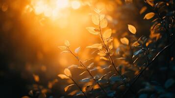 Tree with leaves that are illuminated by the sun. The leaves are green and appear to be in motion, as if they are dancing in the sunlight. Scene is one of tranquility and serenity photo