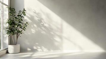 Large window with a potted plant in front of it. The plant casts a shadow on the wall, creating a sense of depth and dimension in the room. The sunlight streaming in through the window adds warmth photo