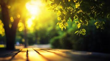 Tree with leaves is in the sun. The sun is shining on the leaves and creating a beautiful scene photo