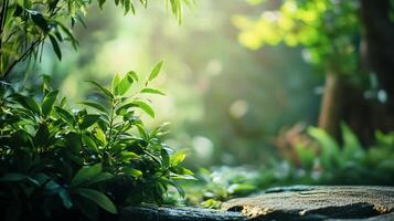 Lush green forest with a stone path leading through it. The sunlight is shining through the trees, creating a peaceful and serene atmosphere photo