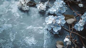 Blue flower with white petals is on a grey surface. The flower is surrounded by a few leaves and stems. The image has a calm and serene mood, with the blue photo