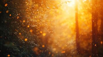Forest with a bright sun shining through the trees. The sun is casting a warm glow on the leaves and branches photo