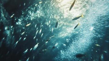 School of fish swimming in the ocean. The fish are scattered throughout the water, with some closer to the surface and others deeper down. The scene is peaceful and serene photo