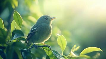 Small bird is perched on a leafy branch in a lush green forest. The sunlight is shining through the leaves, creating a peaceful and serene atmosphere photo