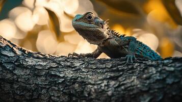 Lizard is sitting on a tree branch. The lizard is blue and has a long tail. The branch is brown and has some leaves on it photo