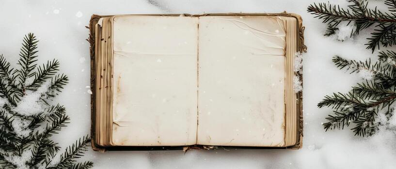 An open vintage book lies on snow, surrounded by snow-covered pine branches. photo