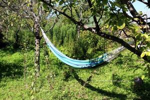 Striped hammock hanging and an apple tree branch in the foreground photo