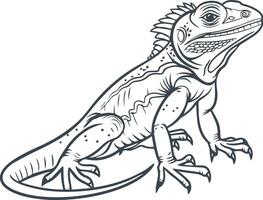 Lizard with a long tail line art illustration vector