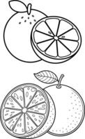 Orange fruit art for color book vector