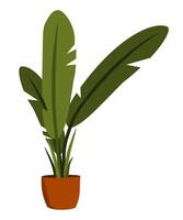 Green Houseplant with Large Leaves in Ceramic Pot in Simple Minimalistic Style vector