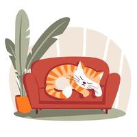Sleeping Tabby Cat on Red Sofa in Living Room, Modern Illustration in Simple Flat Style vector