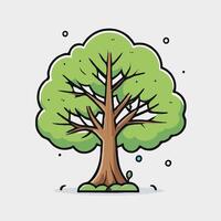 Cartoon tree with leaves vector