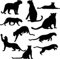Panther silhouettes illsutrations vector