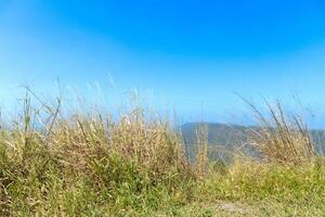 Viewpoint with ground and grass growing on the green edge. Background blurred of mountain far away under clear blue sky. photo