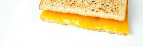 Grilled cheese sandwich made with whole grain bread and melted cheddar cheese served on a white plate photo