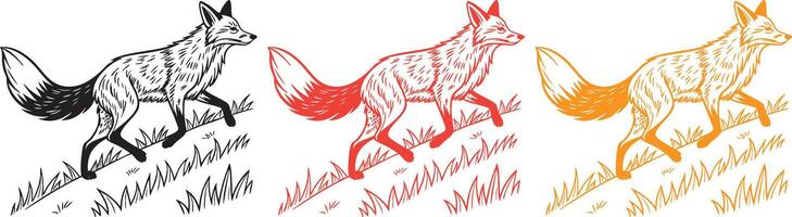 Foxes in different colors vector