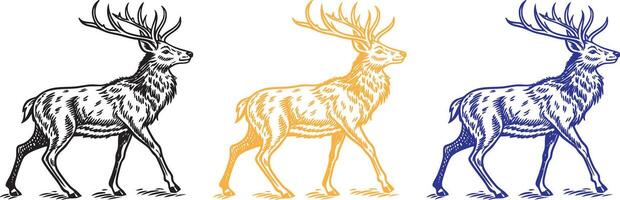 A of a deer standing gracefully with its large, branching antlers. Fine details in the fur and an elegant stance. Black line art with white negative space. vector