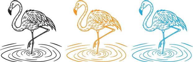 a flamingo standing on one leg in shallow water, with detailed feathers and ripples below. Graceful and elegant black line art. vector