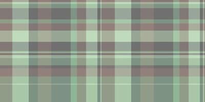 Deluxe seamless fabric background, diagonal textile check. India pattern tartan plaid texture in pastel and medium gray colors. vector