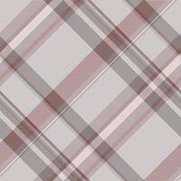 Indian background texture plaid, pillow tartan textile fabric. Creative check seamless pattern in white and silver colors. vector