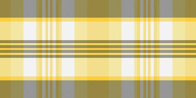 Africa tartan pattern, linear check plaid textile. Female texture background fabric seamless in grey and white colors. vector
