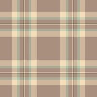 Mexico check fabric tartan, bathroom texture plaid textile. Close up background seamless pattern in pastel and light colors. vector