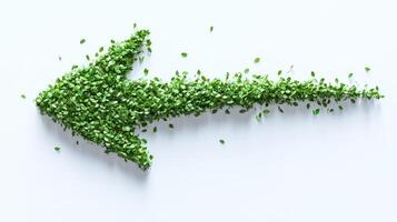 A green leaf arrow points left, symbolizing growth and a connection to nature on a plain backdrop photo