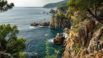 Coastal Cliffs with Lush Vegetation and Azure Water photo
