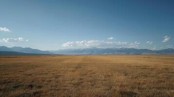Dry Grass Field with Distant Snowy Mountain Range Under a Blue Sky photo