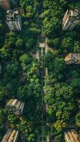 Aerial View of a City Park with Winding Paths and Buildings Surrounded by Lush Green Trees photo