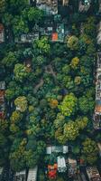 Aerial View of a Park Surrounded by Urban Buildings photo